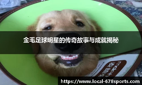 金毛足球明星的传奇故事与成就揭秘